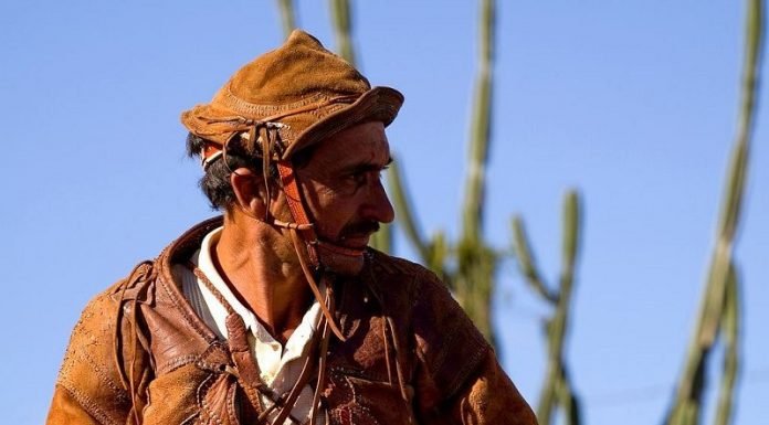 Alucinações de um nordestino