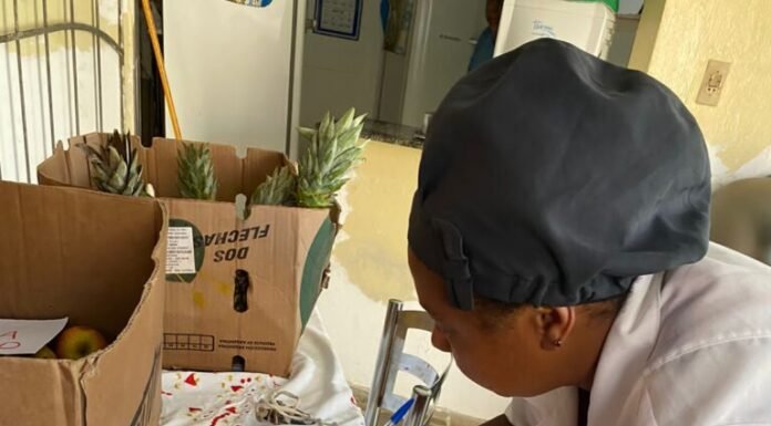 Prefeitura de Alagoinhas faz entrega de frutas, verduras e proteínas a lares de idosos do Município