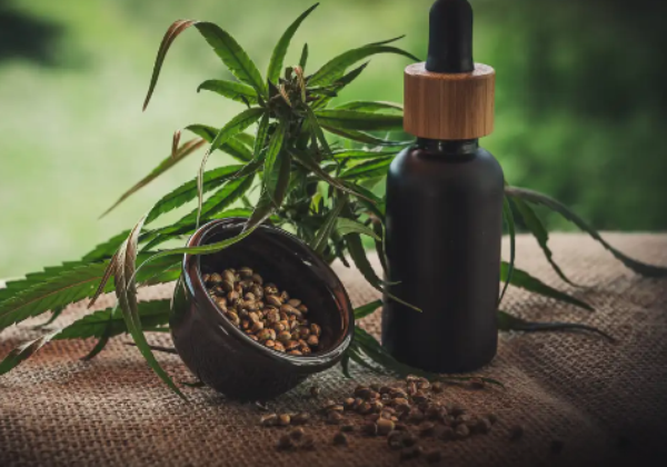 Maconha Canabis