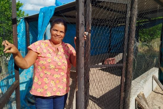 PSX_20250122_075439-550x368