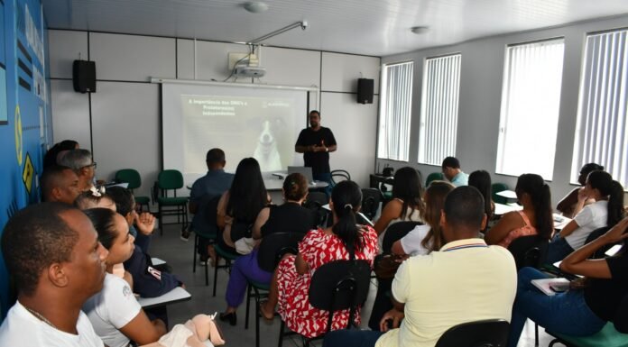 Alagoinhas terá serviço de atendimento de urgência e emergência a animais acolhidos por ONGs conveniadas