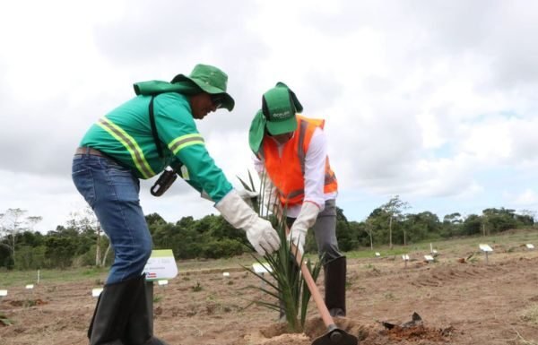 Governo aprova investimento de mais de R$ 1,5 bilhão na geração de empregos no estado
