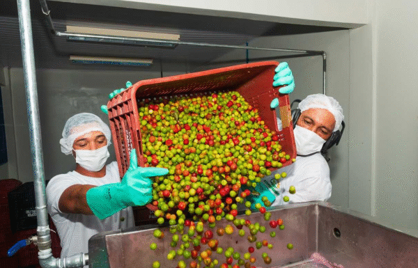 Bahia celebra Dia da Agricultura Familiar com R$ 4 bi em investimentos no setor