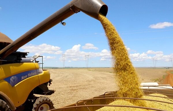 Bahia recebe Bahia recebe mais de R$ 141 mi em crédito para impulsionar o agronegócioBahia recebe mais de R$ 141 mi em crédito para impulsionar o agronegócioBahia recebe mais de R$ 141 mi em crédito para impulsionar o agronegóciomais de R$ 141 mi em crédito para impulsionar o agronegócio