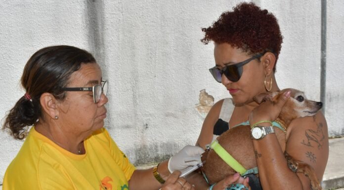 Dia D de Vacinação Antirrábica imuniza cães e gatos em Alagoinhas