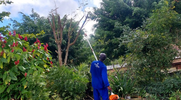 Prefeitura de Alagoinhas reforça serviços de manutenção e conservação da cidade