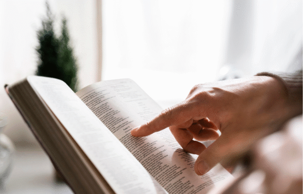 Bíblias e Estudo Religioso podem ser obrigatórias nas escolas de toda Bahia; entenda projeto