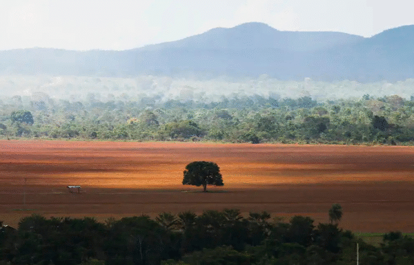Projeto de lei propõe criação do Observatório de Mudanças Climáticas da Bahia