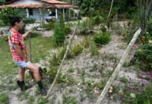 Alagoinhas inicia a emissão gratuita do Cefir/CAR para regulação ambiental e acesso de agricultores familiares ao Pronaf