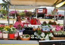 Alagoinhas realiza 1ª Feira de Empreendedorismo Feminino