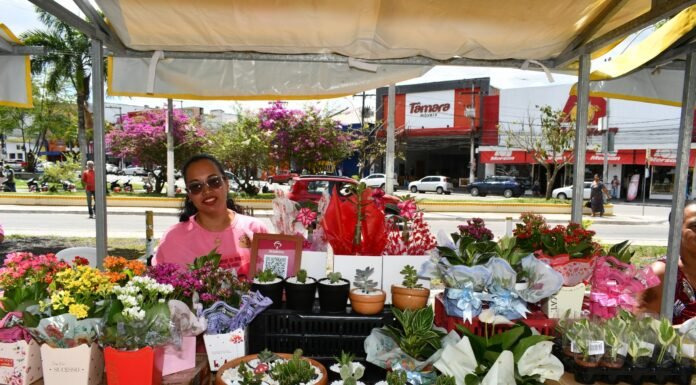 Alagoinhas realiza 1ª Feira de Empreendedorismo Feminino