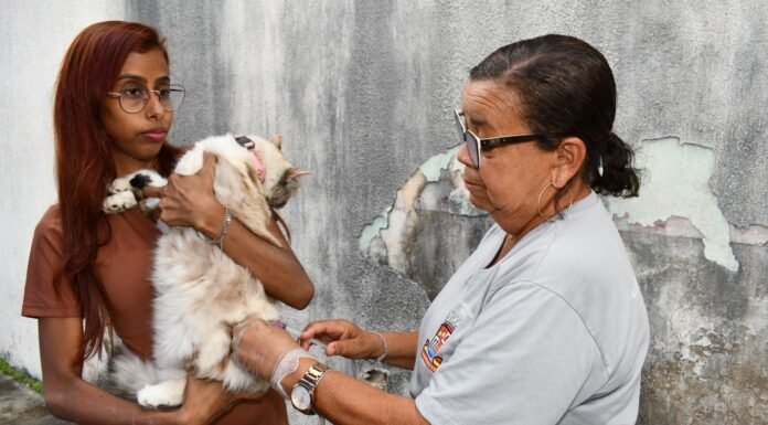 Alagoinhas ultrapassa meta e fica entre os três melhores na vacinação antirrábica da Bahia