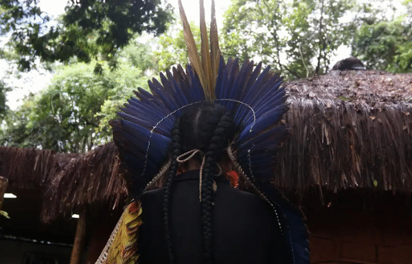 Governo autoriza envio da Força Nacional para terras indígenas no sul da Bahia