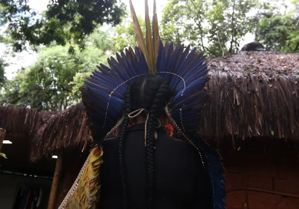 indigena