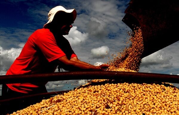 Safra de grãos da Bahia deve cair 4% em 2026, aponta IBGE