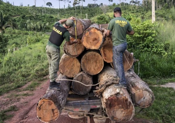 93885453_operacao_do_ibama_apreende_madeira_no_amazonas._foto_divulgacao-1080x648-1