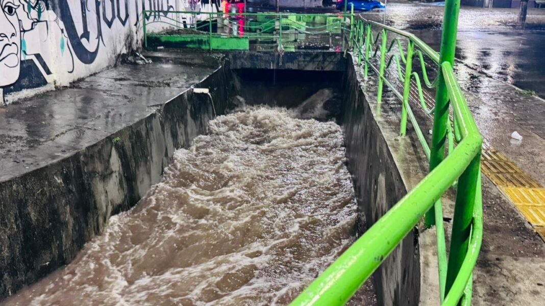 WhatsApp-Image-2026-02-27-at-11.12.51-5