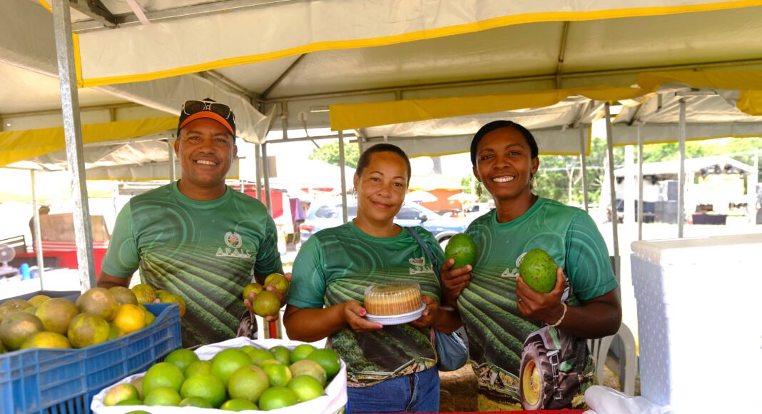 Sealba Alagoinhas impulsiona agricultura familiar e empreendedorismo rural