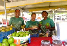 Sealba Alagoinhas impulsiona agricultura familiar e empreendedorismo rural