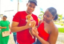 Feira de Adoção de Animais incentiva cuidado e promove novos lares para cães e gatos em Alagoinhas