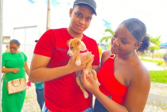 Feira de Adoção de Animais incentiva cuidado e promove novos lares para cães e gatos em Alagoinhas