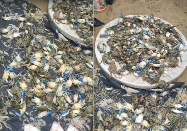 Design-sem-nome-30-1 (1)