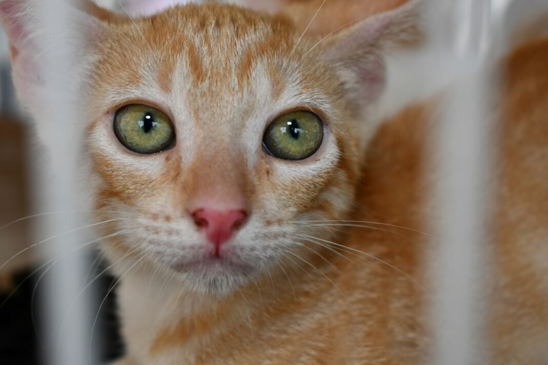 WhatsApp-Image-2026-02-23-at-08.06.18 (1)