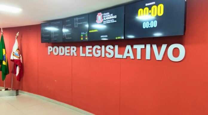 Vereadora Luma Menezes agradece apoio recebido, relata recuperação e retoma atividades legislativas de forma remota