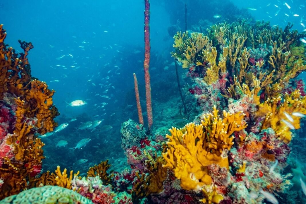 abrolhos-1536x1024-1