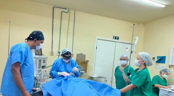 Centro de Cirurgias Eletivas realiza nova etapa de cirurgias de amígdalas e adenoides