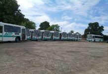 ATP anuncia chegada de 10 novos ônibus para o transporte público de Alagoinhas; veículos começam a circular a partir de segunda-feira(28)