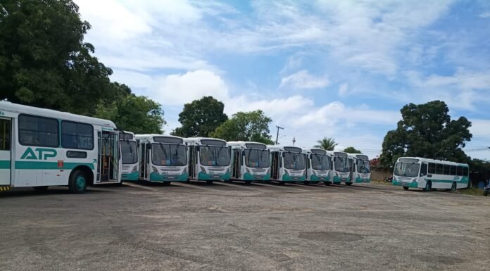 ATP anuncia chegada de 10 novos ônibus para o transporte público de Alagoinhas; veículos começam a circular a partir de segunda-feira(28)